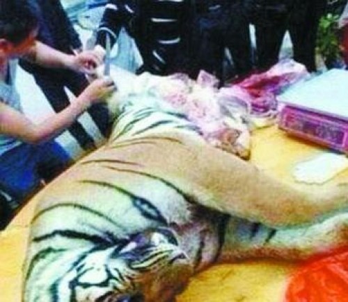 From http://www.zy127.com/shehuishequ/201406/32790.html